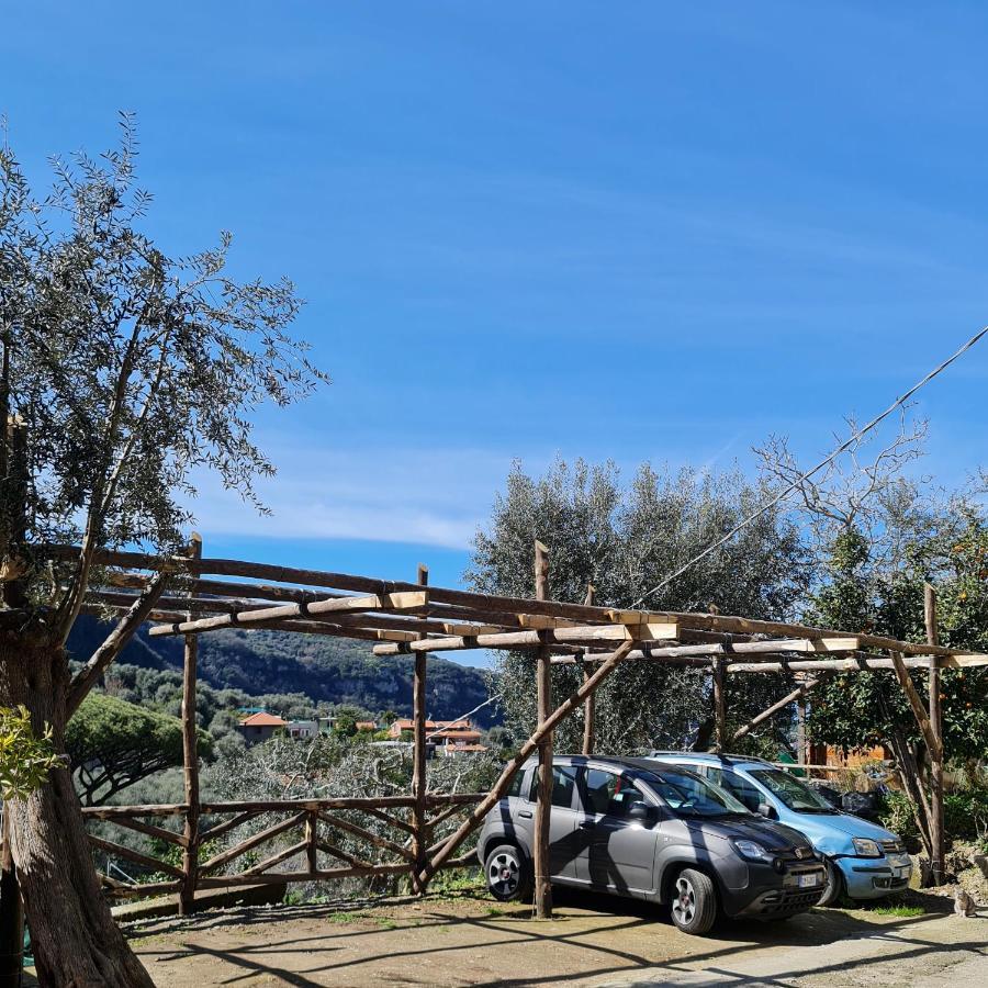 Casa Betania Da Peppe Villa Sorrento Luaran gambar