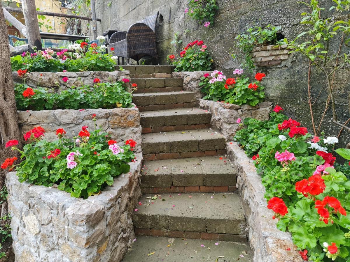 Casa Betania Da Peppe Villa Sorrento Luaran gambar