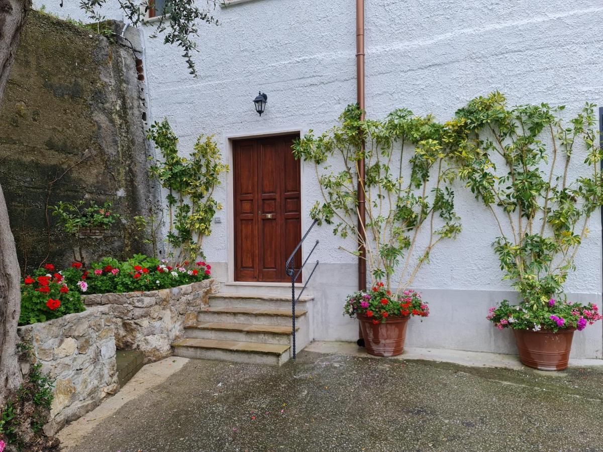 Casa Betania Da Peppe Villa Sorrento Luaran gambar