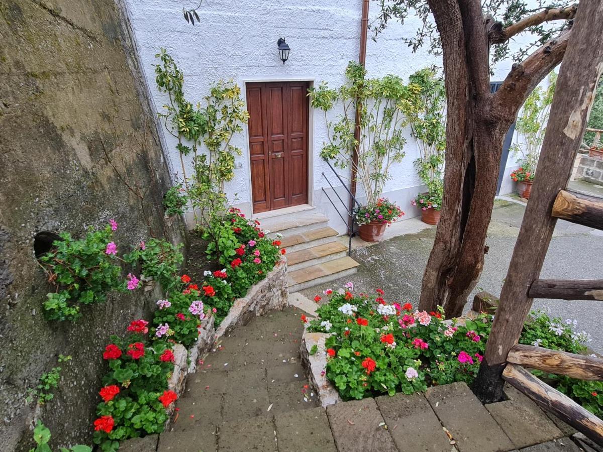 Casa Betania Da Peppe Villa Sorrento Luaran gambar